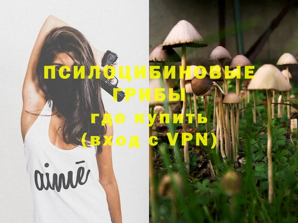 мет Абаза