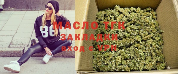 мдпв Гусев